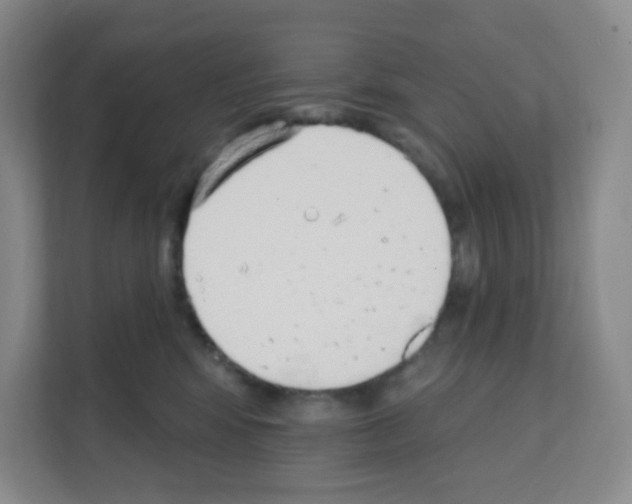 X0000111130424200908111043