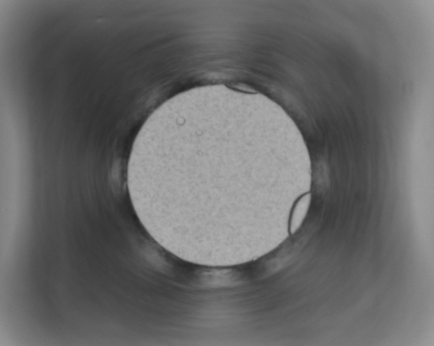 X0000111130428200908111043
