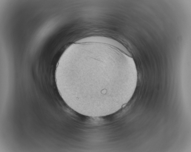 X0000111130429200908111043