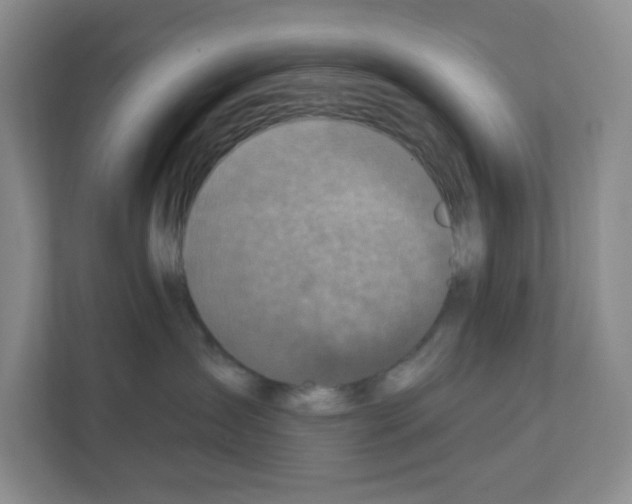 X0000111130431200908111043