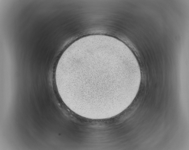 X0000111130434200908111042