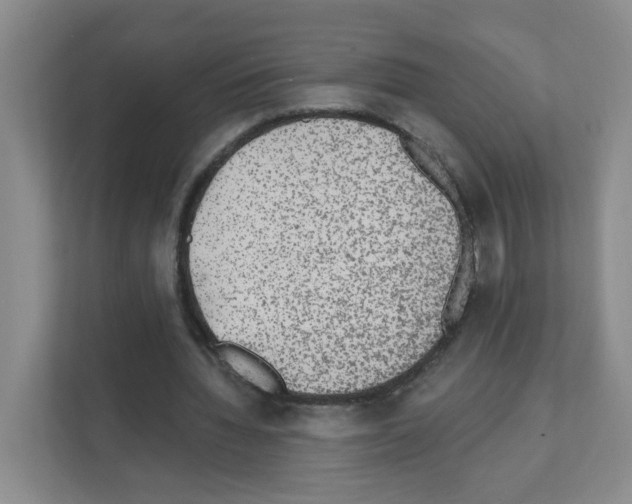 X0000111130436200908111042
