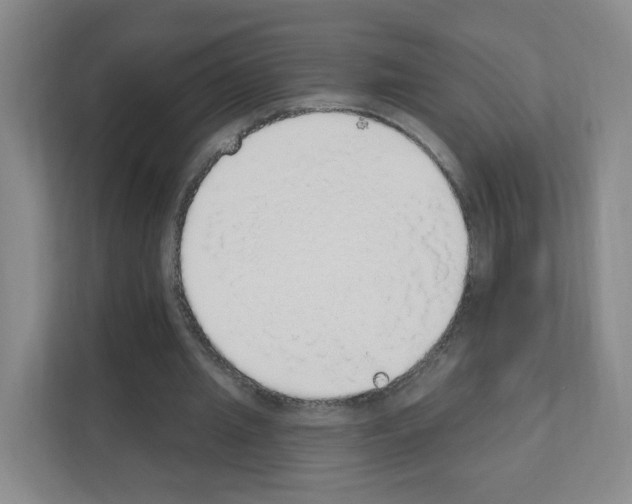 X0000111130437200908111042
