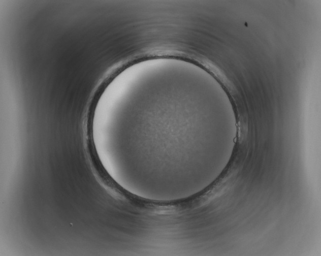 X0000111130438200908111042