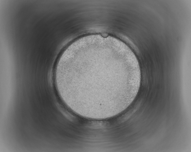 X0000111130439200908111042