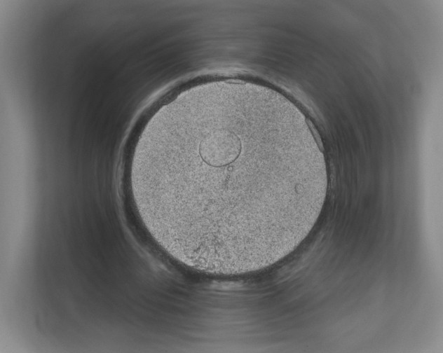 X0000111130440200908111042