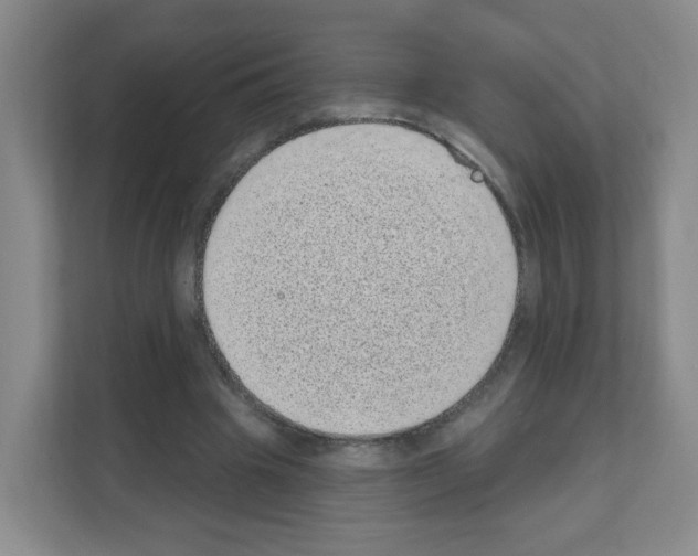 X0000111130441200908111042