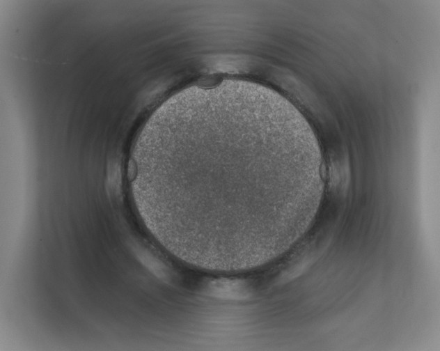 X0000111130444200908111042