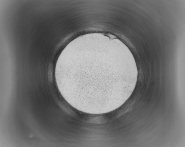 X0000111130446200908111042