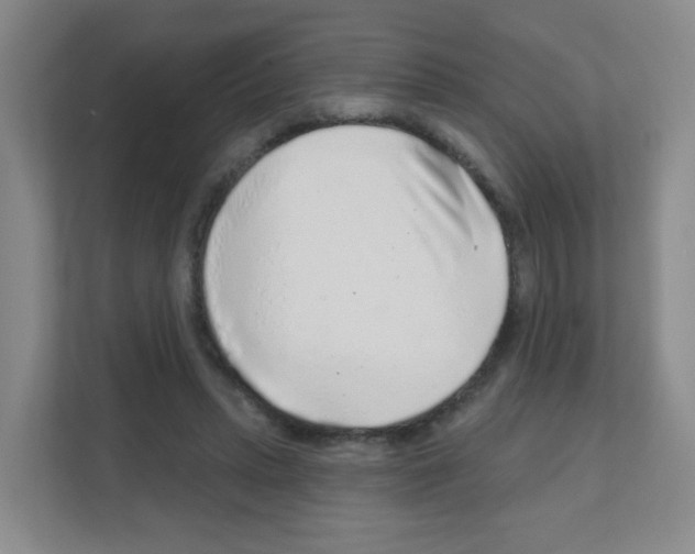 X0000111130447200908111042