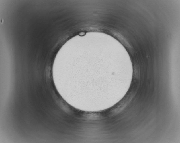 X0000111130449200908111042