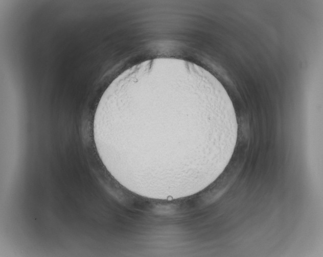 X0000111130450200908111042