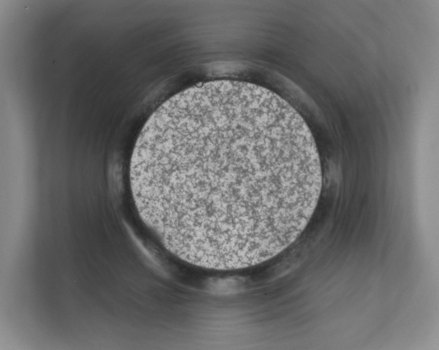 X0000111130452200908111042