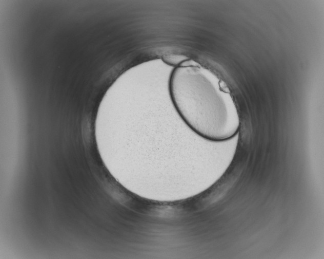 X0000111130453200908111042