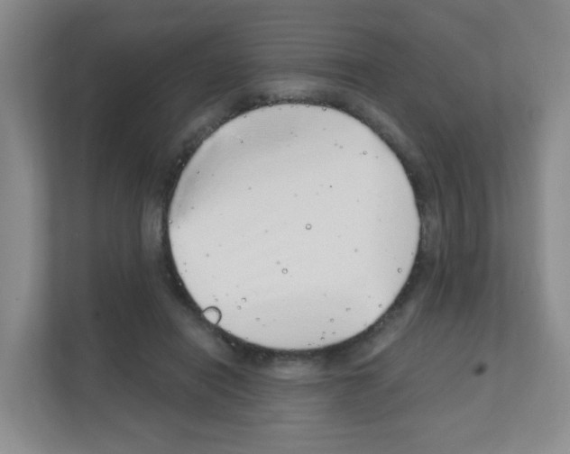 X0000111130454200908111042