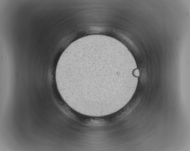X0000111130455200908111042