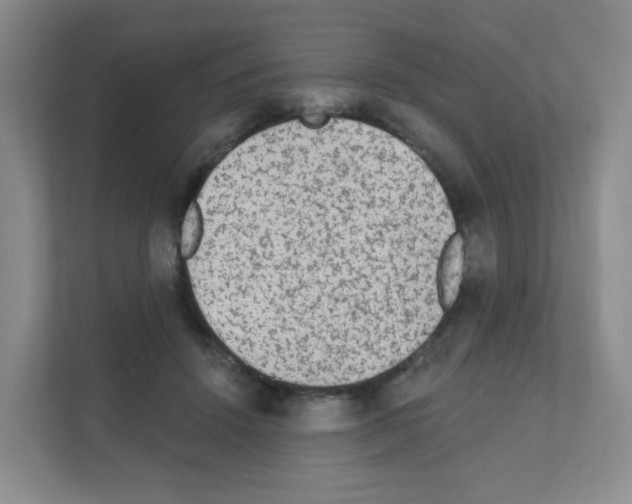 X0000111130456200908111042