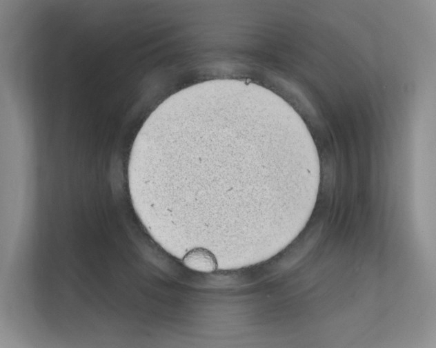 X0000111130457200908111042