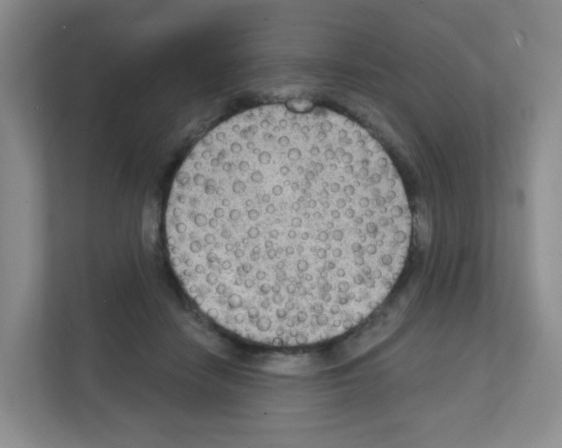 X0000111130458200908111042