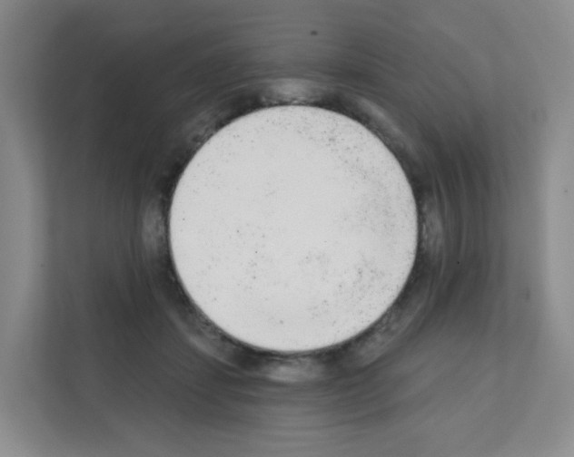 X0000111130459200908111042