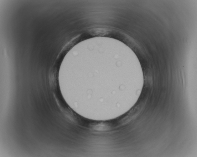 X0000111130460200908111042