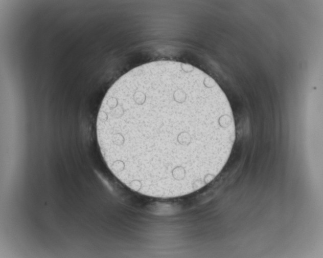 X0000111130464200908111042