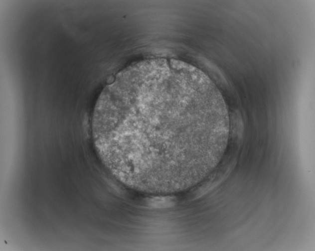 X0000111130465200908111042