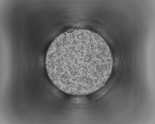 X0000111130466200908111042