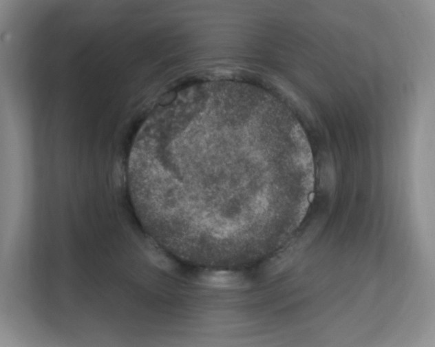 X0000111130467200908111042