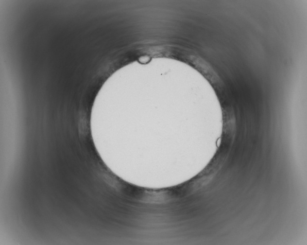 X0000111130469200908111042