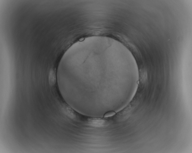 X0000111130471200908111042