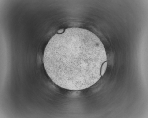 X0000111130474200908111042