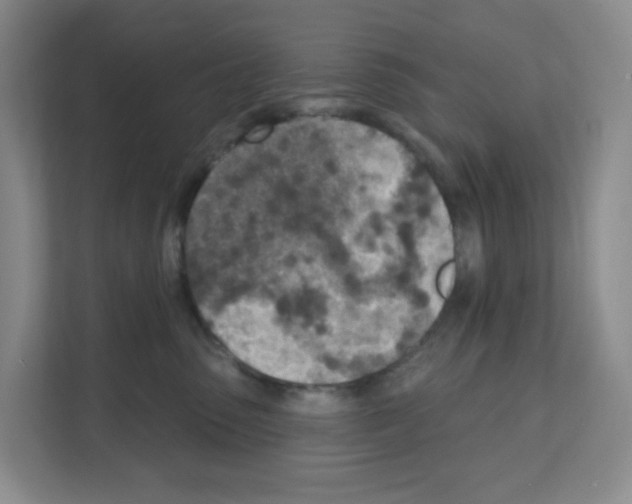 X0000111130475200908111042