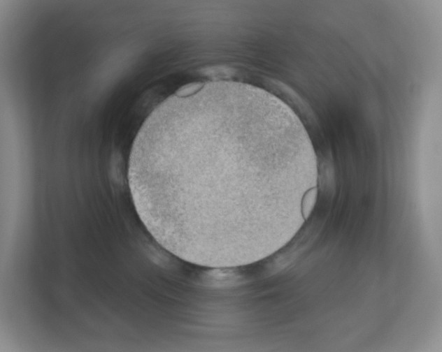 X0000111130477200908111042