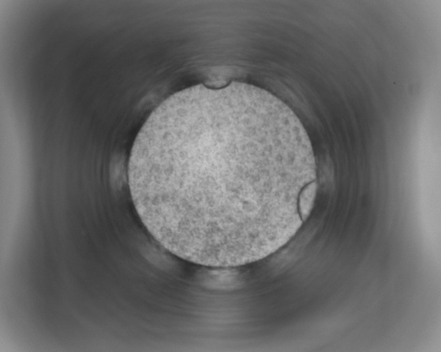 X0000111130478200908111042