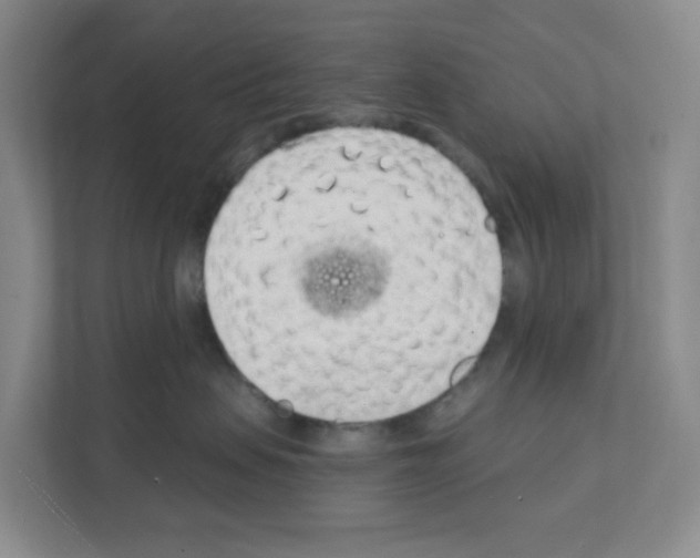 X0000111130479200908111042