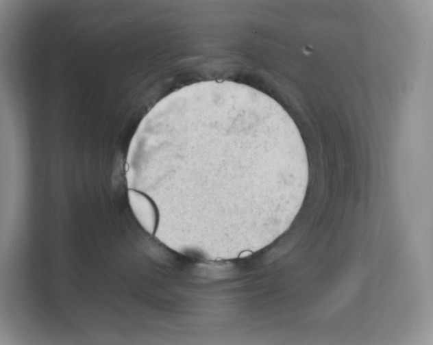 X0000111130480200908111042