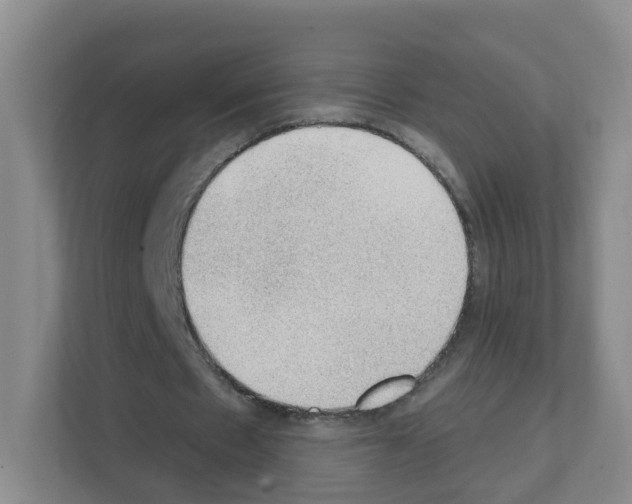 X0000111130481200908111042