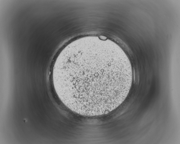 X0000111130483200908111042