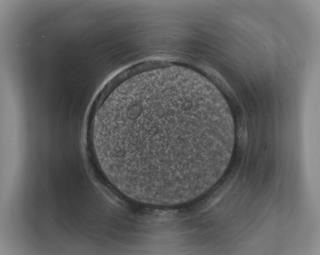 X0000111130484200908111042