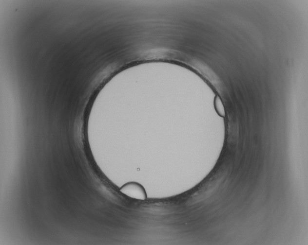 X0000111130485200908111042