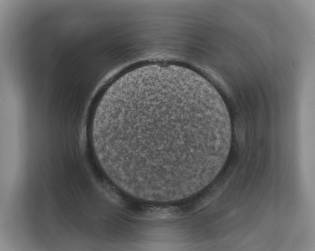 X0000111130488200908111042