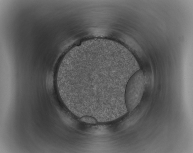 X0000111130492200908111042