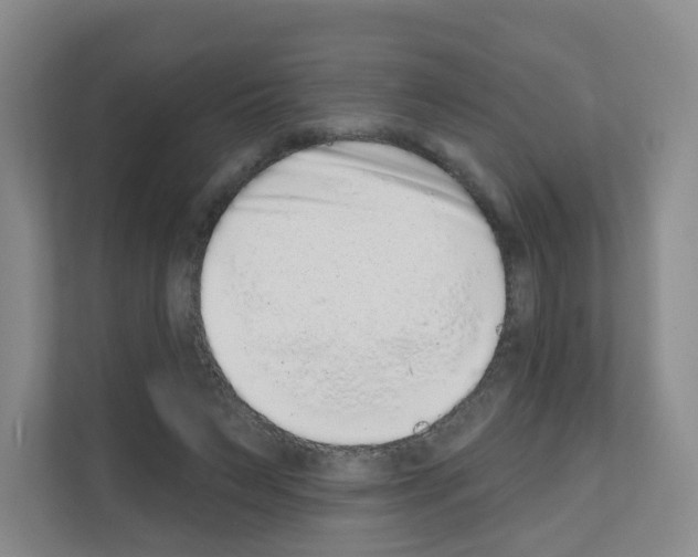 X0000111130495200908111042