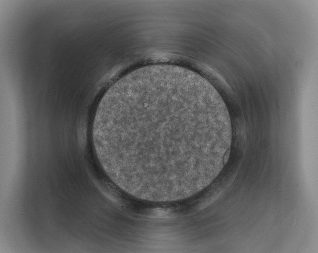 X0000111130496200908111042