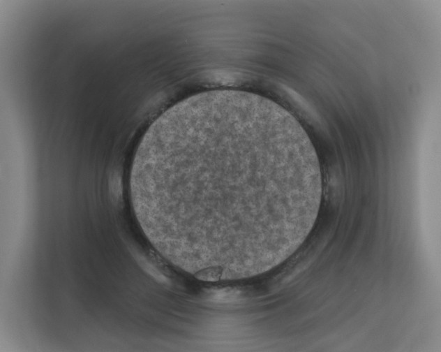 X0000111130500200908111042
