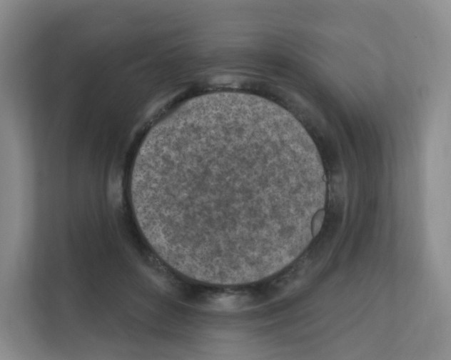 X0000111130504200908111042