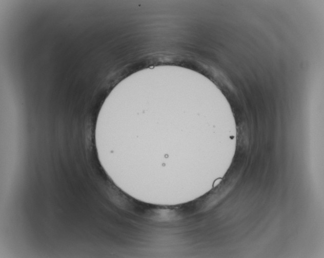 X0000111130509200908111041