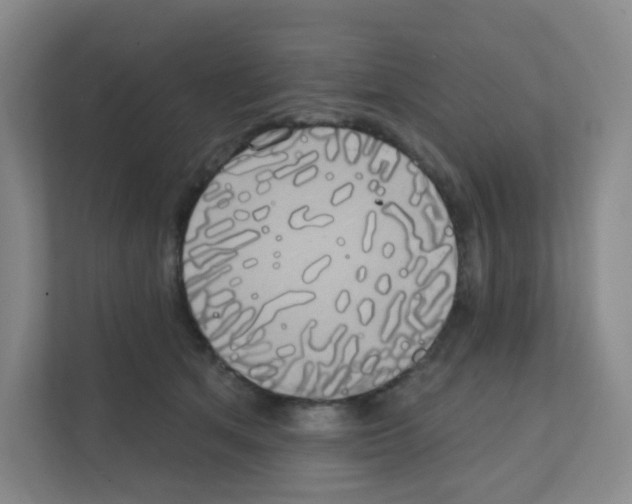 X0000111130513200908111041
