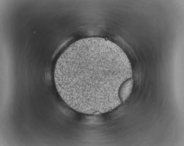 X0000111130516200908111041